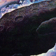 Illustration for article titled 1980s Science Fiction Where The Cold War Never Ends